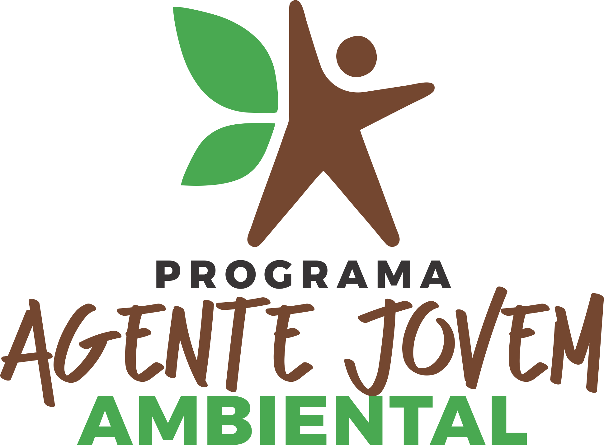 Programa Agente Jovem Ambiental